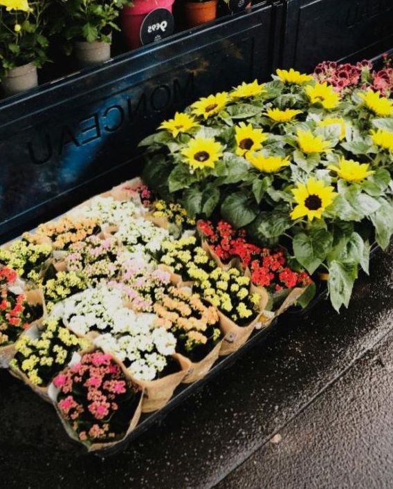 Bouquet sur mesure