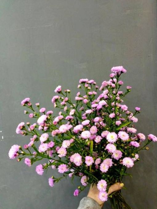 Bouquet écologique 1