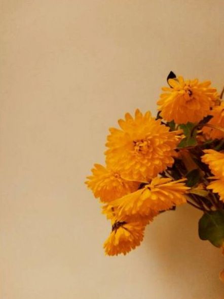 Bouquet écologique 3
