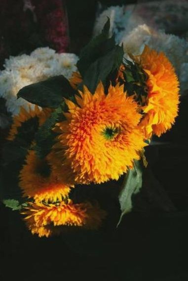 Bouquet d'anniversaire 1